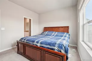 1053 Gianna Ave, Fort Lupton, CO 80621 - Photo 14