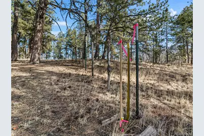 Lot 20A Echo Lake Drive, Lake George, CO 80827 - Photo 8