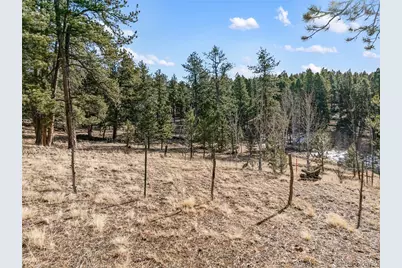 Lot 20A Echo Lake Drive, Lake George, CO 80827 - Photo 4