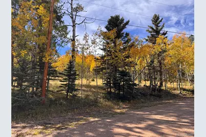 Lot 20A Echo Lake Drive, Lake George, CO 80827 - Photo 20