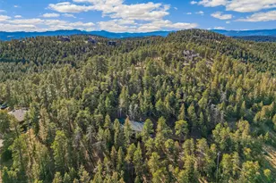 29130 Upper Moss Rock Rd, Golden, CO 80401 - Photo 8