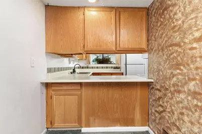 252 S Oman Road, Castle Rock, CO 80104 - Photo 10