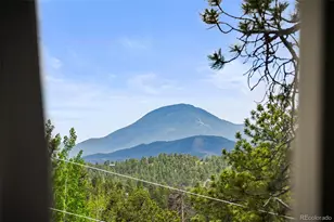 202 Badger Ln, Bailey, CO 80421 - Photo 30
