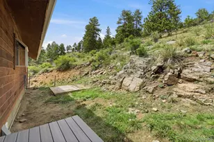 202 Badger Ln, Bailey, CO 80421 - Photo 44