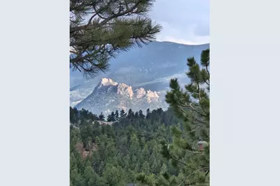 202 Badger Lane, Bailey, CO 80421 - Photo 28