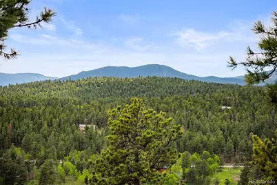 202 Badger Lane, Bailey, CO 80421 - Photo 22