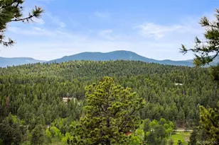 202 Badger Ln, Bailey, CO 80421 - Photo 22
