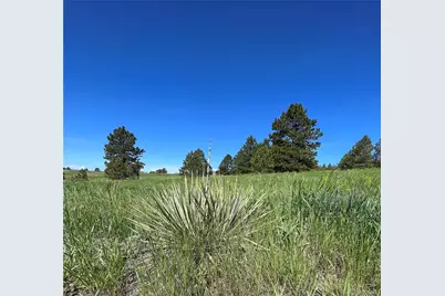 10290 Democrat Road, Parker, CO 80134 - Photo 10