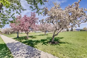 1038 Jasmine St, Denver, CO 80220 - Photo 2