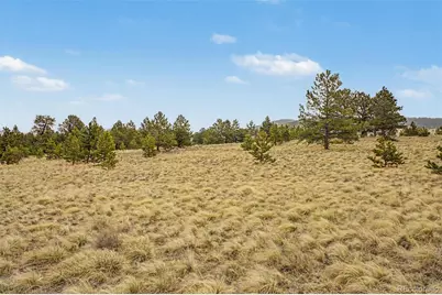 0 Ranger Station Road, Florissant, CO 80816 - Photo 14