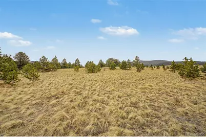 0 Ranger Station Road, Florissant, CO 80816 - Photo 16