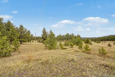 0 Ranger Station Road, Florissant, CO 80816 - Photo 20