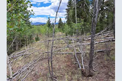 6242 Remington Road, Como, CO 80432 - Photo 2