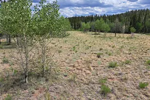 6242 Remington Rd, Como, CO 80432 - Photo 1