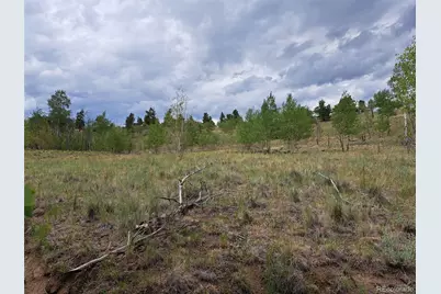6242 Remington Road, Como, CO 80432 - Photo 20