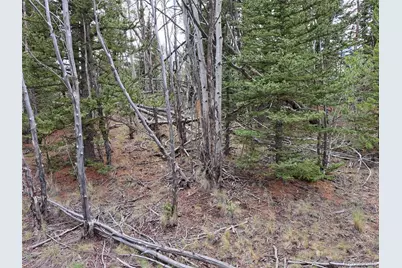 6242 Remington Road, Como, CO 80432 - Photo 14