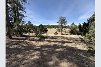 262 Harmon Drive, Cotopaxi, CO 81223 - Photo 1