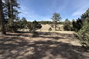 262 Harmon Dr, Cotopaxi, CO 81223 - Photo 1