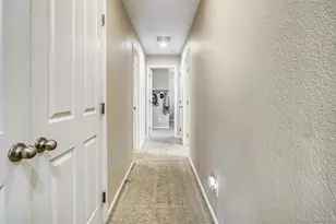 3810 Cadence Dr, Castle Rock, CO 80109 - Photo 24