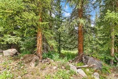 0057 County Road 675, Breckenridge, CO 80424 - Photo 28