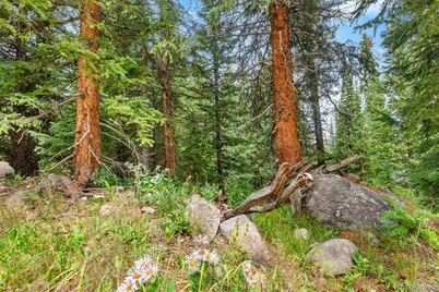 0057 County Road 675, Breckenridge, CO 80424 - Photo 38