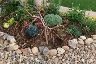 13063 Sandstone Dr, Broomfield, CO 80021 - Photo 24