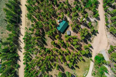 324 Ski Doo Road, Fairplay, CO 80440 - Photo 4