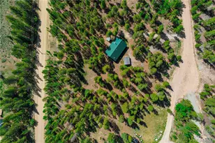324 Skidoo Rd, Fairplay, CO 80440 - Photo 4