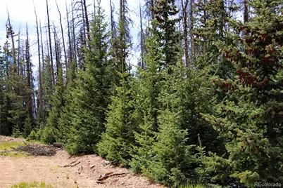 000 Schlueter Road, Fort Garland, CO 81133 - Photo 24