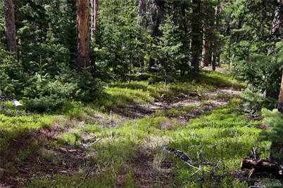 000 Schlueter Road, Fort Garland, CO 81133 - Photo 18