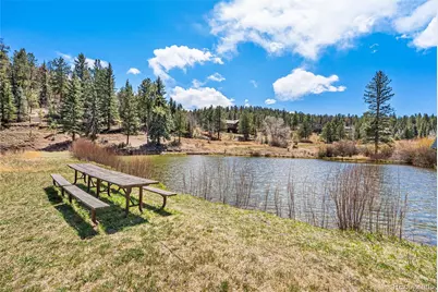 33769 Myrna Court, Pine, CO 80470 - Photo 6
