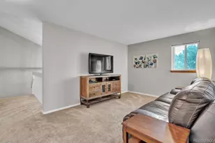 7370 S Tempe Cir, Centennial, CO 80016 - Photo 30