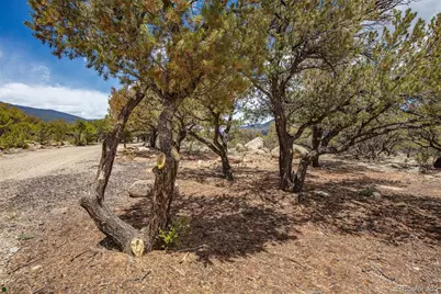 Midland Circle (373A), Buena Vista, CO 81211 - Photo 16