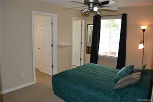 6965 Sapphire Pointe Blvd, Castle Rock, CO 80108 - Photo 34