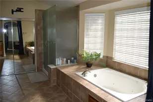 6965 Sapphire Pointe Blvd, Castle Rock, CO 80108 - Photo 28