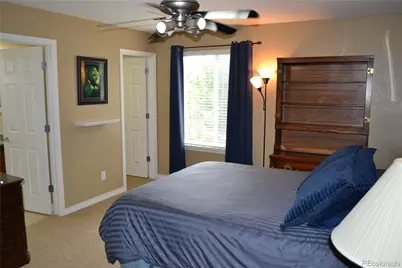 6965 Sapphire Pointe Boulevard, Castle Rock, CO 80108 - Photo 30