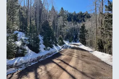 Lot 5339 Howard Road, Fort Garland, CO 81133 - Photo 6