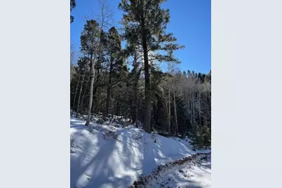 Lot 5339 Howard Road, Fort Garland, CO 81133 - Photo 8
