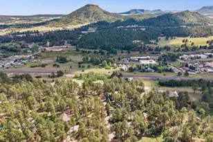168 Columbine St, Larkspur, CO 80118 - Photo 32