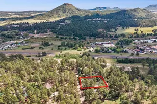 168 Columbine St, Larkspur, CO 80118 - Photo 34