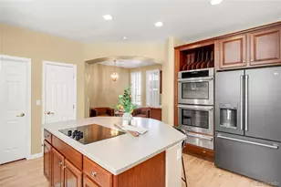 10664 Chandon Pl, Highlands Ranch, CO 80126 - Photo 18