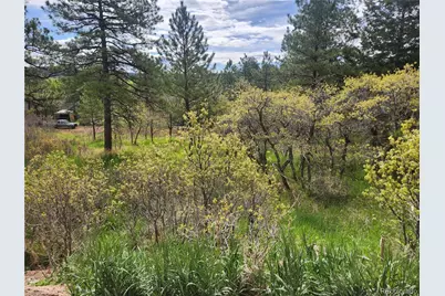 Buena Vista Avenue, Palmer Lake, CO 80133 - Photo 2