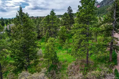 Buena Vista Avenue, Palmer Lake, CO 80133 - Photo 10