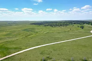 3 County Road 91, Ramah, CO 80832 - Photo 1