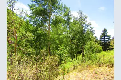 Lot 5526 Joy Road, Fort Garland, CO 81133 - Photo 12