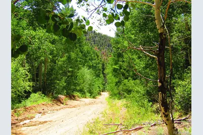 Lot 5526 Joy Road, Fort Garland, CO 81133 - Photo 4