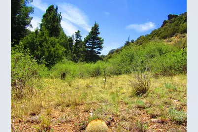 Lot 5526 Joy Road, Fort Garland, CO 81133 - Photo 8