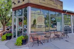 17 S Washington St, Denver, CO 80209 - Photo 46