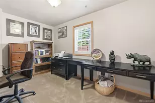 10 Marshal Duggan Dr, Leadville, CO 80461 - Photo 20