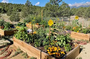 14051 US Hwy 285, Salida, CO 81201 - Photo 34